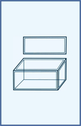 Jars staining - without insert Jars staining - without insert