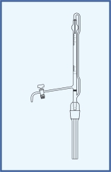 Glas-Küken, mit Schellbach-Streifen, Klasse B